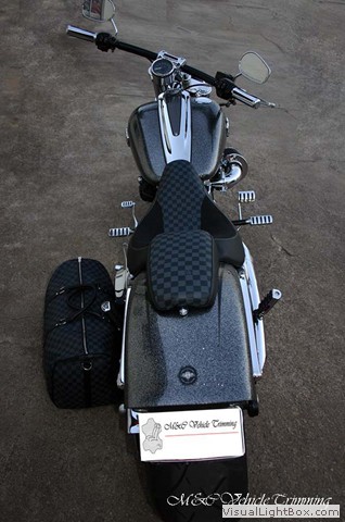 I Bet You Have Not Seen This Yet ? Louis Vuitton Street Glide Seat